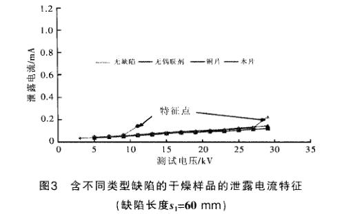 含缺陷復(fù)合絕緣子加速老化試驗